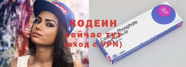 прущий лед Алзамай