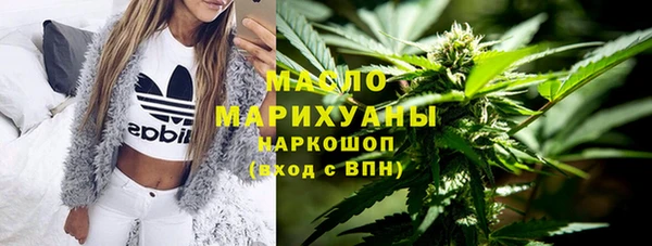 прущий лед Алзамай