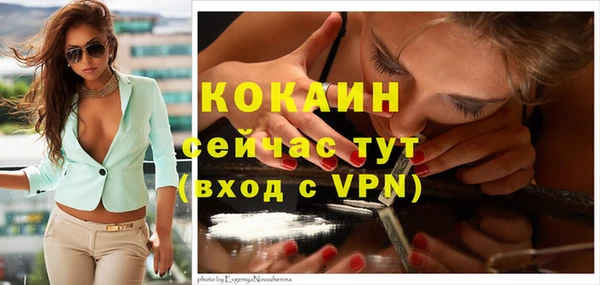 прущий лед Алзамай